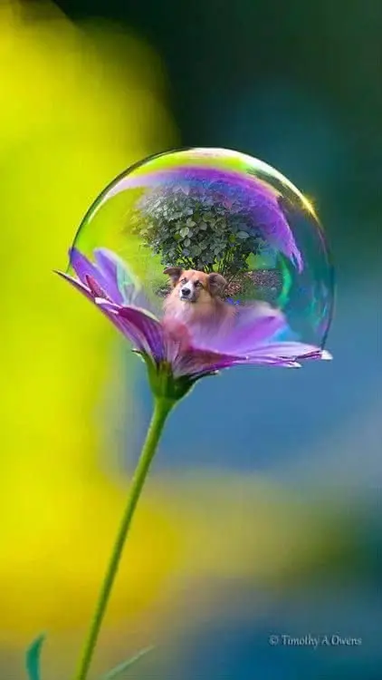 Condolence image of ❤️❤️❤️