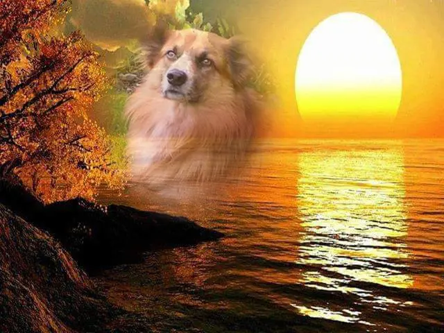 Condolence image of ❤️❤️❤️