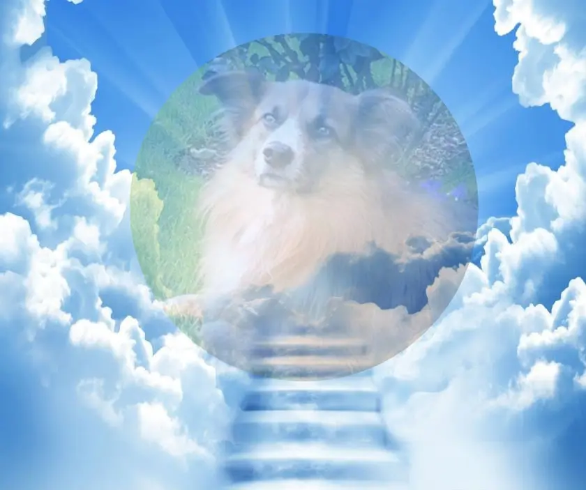 Condolence image of ❤️❤️❤️