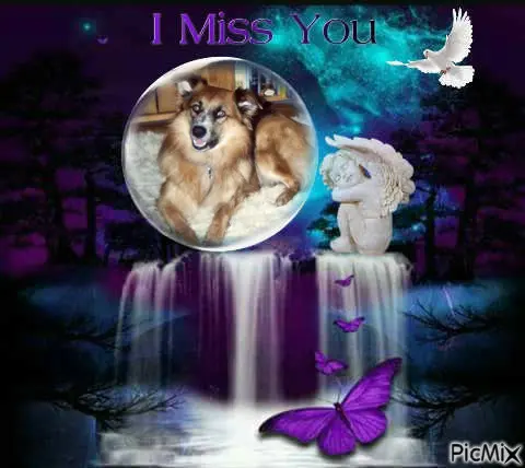 Condolence image of ❤️❤️❤️