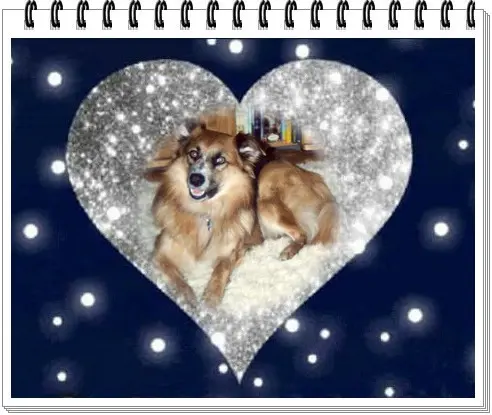 Condolence image of ❤️❤️❤️