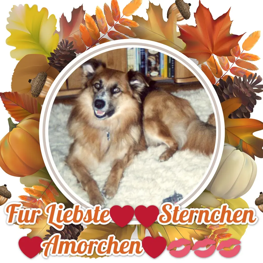 Condolence image of ❤️❤️❤️