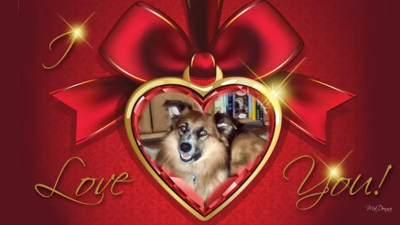 Condolence image of ❤️❤️❤️