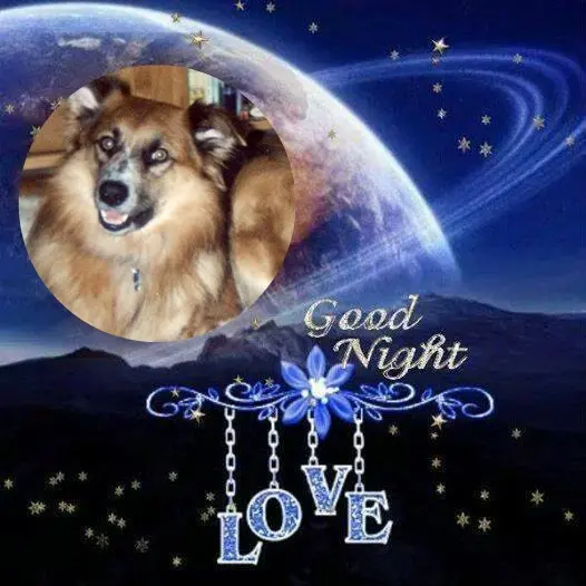 Condolence image of ❤️❤️❤️