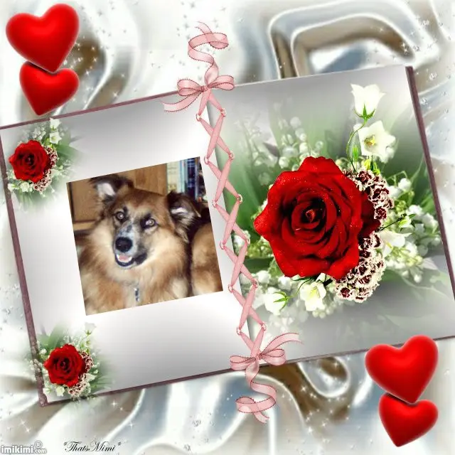 Condolence image of ❤️❤️❤️