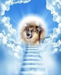 Condolence image of ❤️❤️❤️