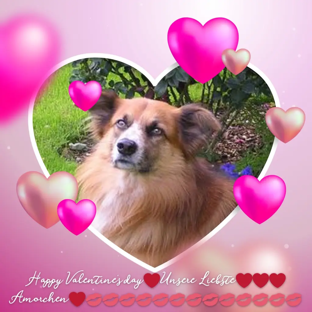 Condolence image of ❤️❤️❤️