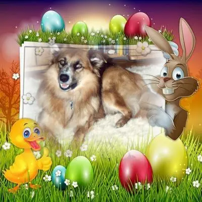 Condolence image of ❤️❤️❤️