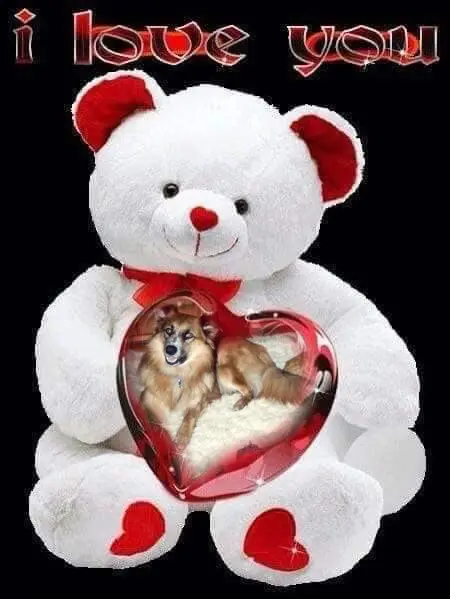 Condolence image of ❤️❤️❤️