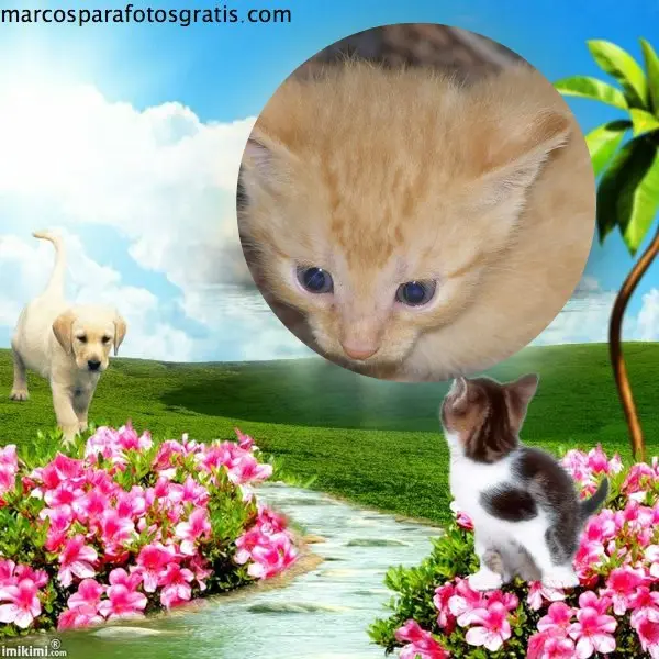 Condolence image of Unbekannt