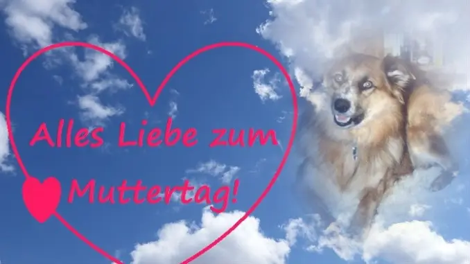 Condolence image of ❤️Mama❤️