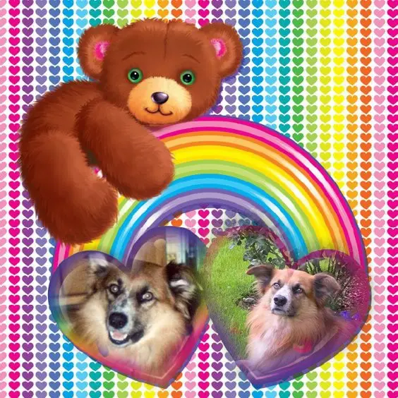 Condolence image of ❤️❤️❤️