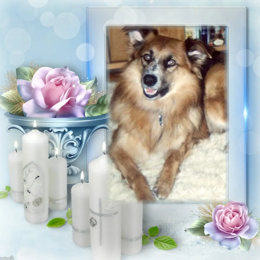 Condolence image of ❤️❤️❤️ALLEHEILIGEN❤️❤️❤️