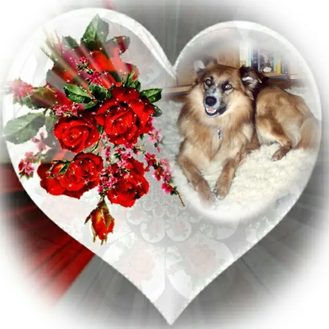 Condolence image of ❤️6.Sternchen❤️Gedenktag❤️