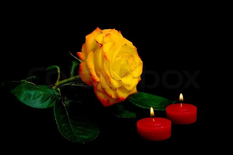 Condolence image of Zum Gedenken an Amor 