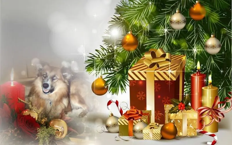 Condolence image of ❤️❤️❤️WEIHNACHTEN❤️❤️❤️