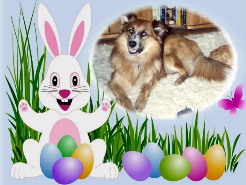 Condolence image of ❤️❤️❤️