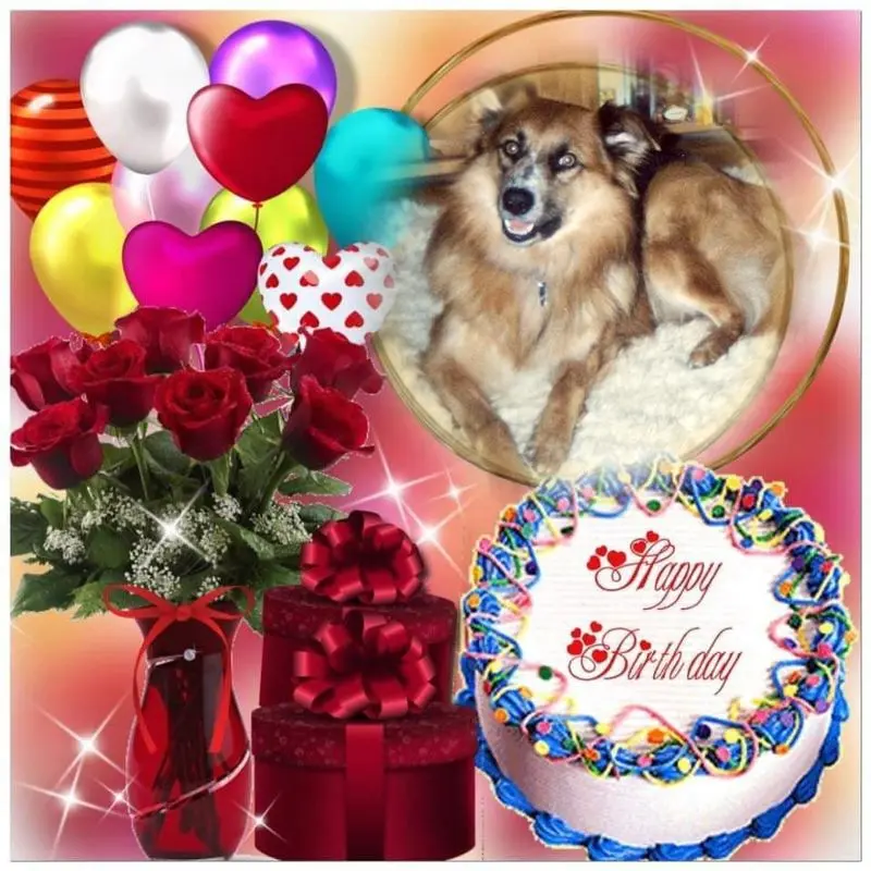 Condolence image of 22. Geburtstag❤️❤️❤️