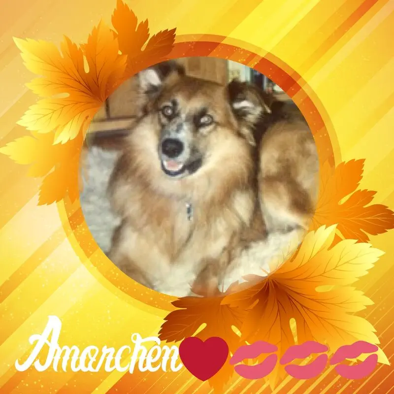 Condolence image of ❤️❤️❤️❤️❤️❤️❤️❤️❤️❤️❤️❤️❤️❤️