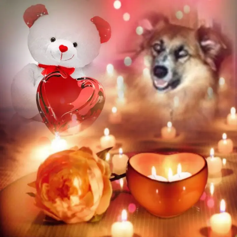 Condolence image of Gute Nacht❤️❤️❤️