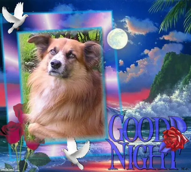 Condolence image of Gute❤️❤️❤️Nacht❤️❤️❤️