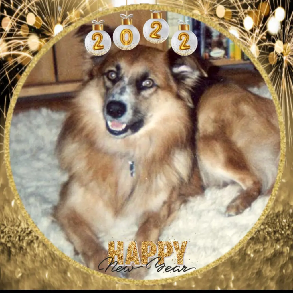 Condolence image of ❤️NEUE JAHR❤️2022❤️WUNSCHE❤️❤️❤️