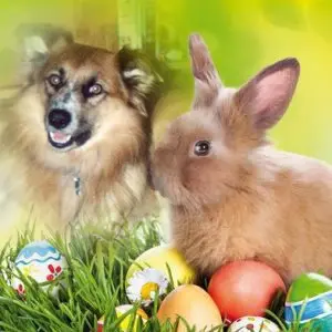 Condolence image of Frohe❤️❤️❤️Ostern❤️