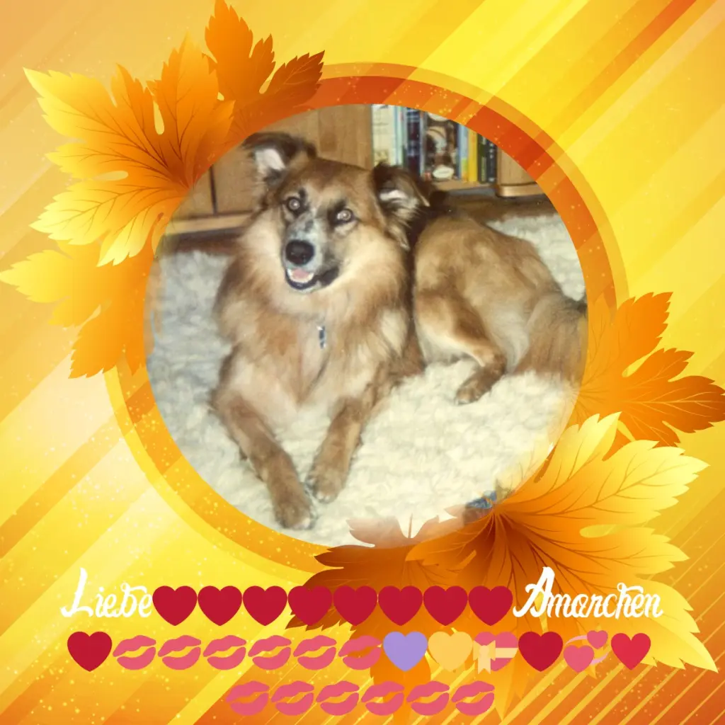 Condolence image of Liebe❤❤❤❤❤❤❤❤❤Amorchen❤