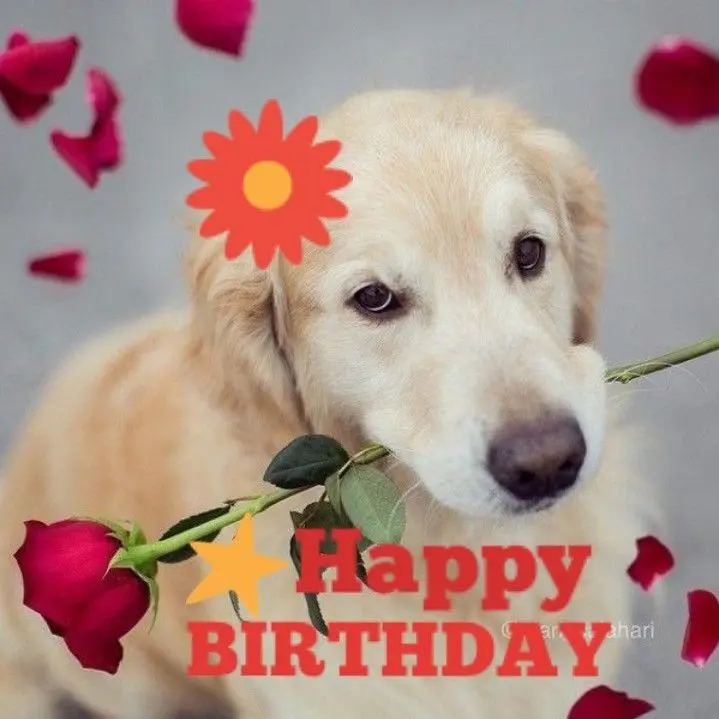 Condolence image of 23 Geburtstag❤❤❤❤❤❤❤❤❤❤❤❤❤❤❤❤❤❤❤❤❤❤❤