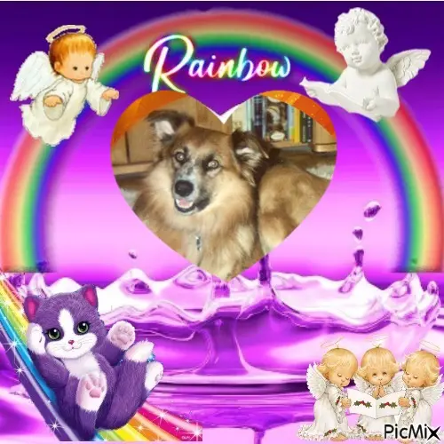 Condolence image of 8. Sternchen❤Gedenktag❤❤❤❤❤❤❤❤