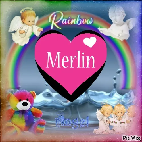 Condolence image of Fur Merlinchen❤