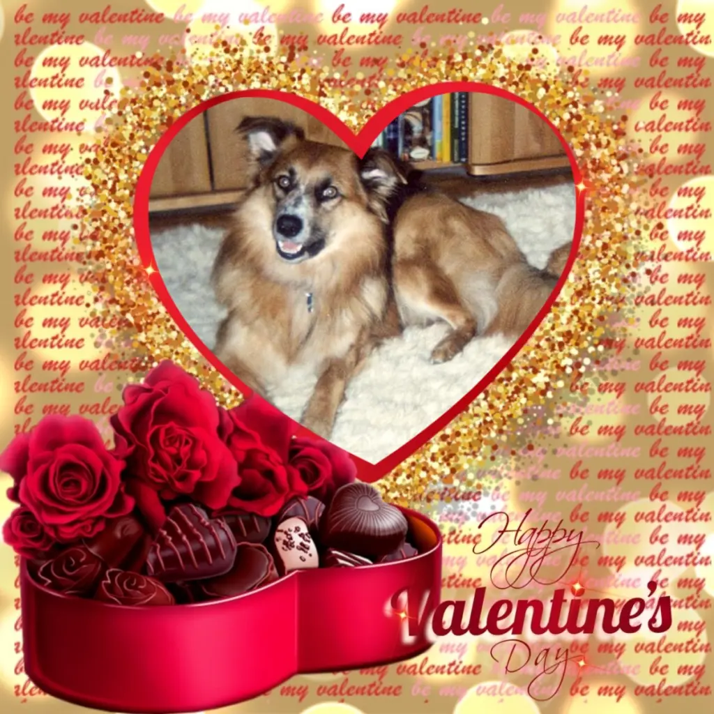 Condolence image of Valentins❤️Rosen❤️❤️❤️❤️❤️❤️❤️❤️