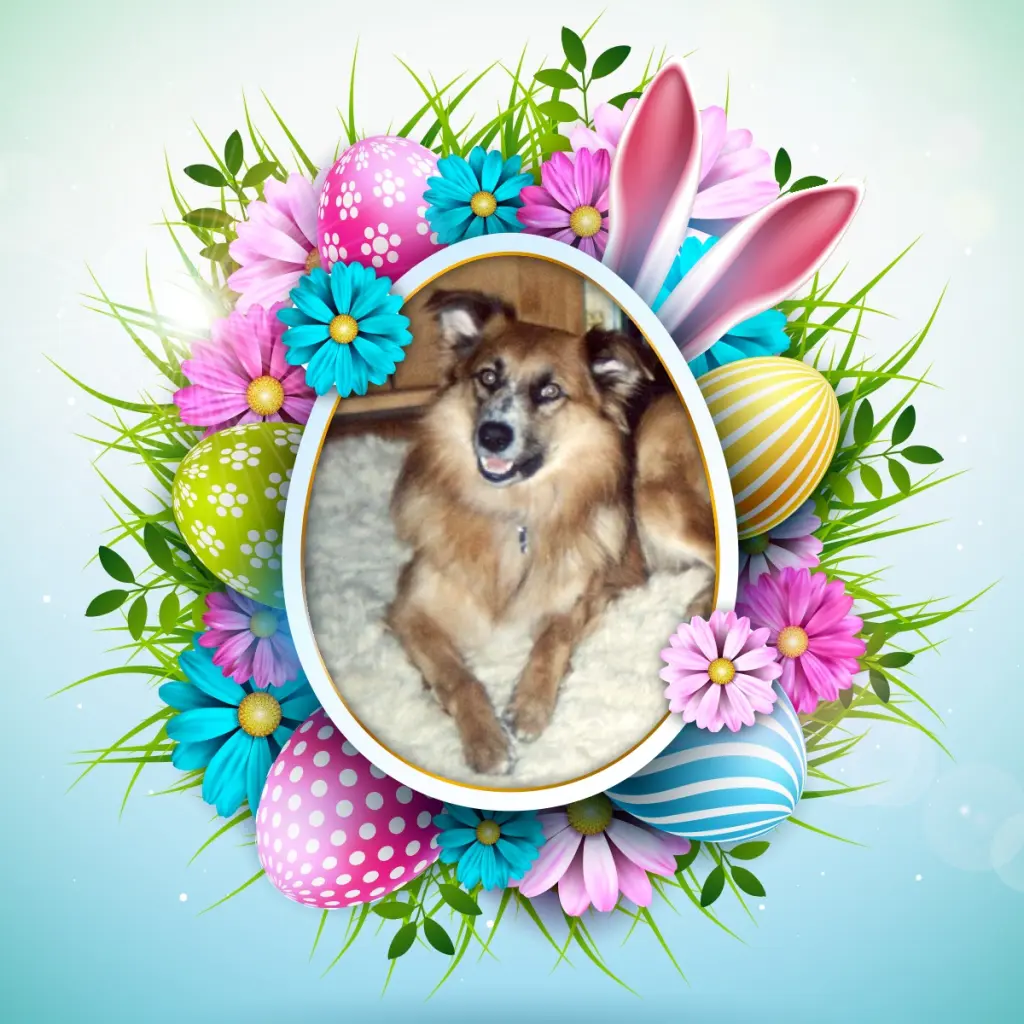 Condolence image of Frohe❤️❤️❤️Ostern❤️