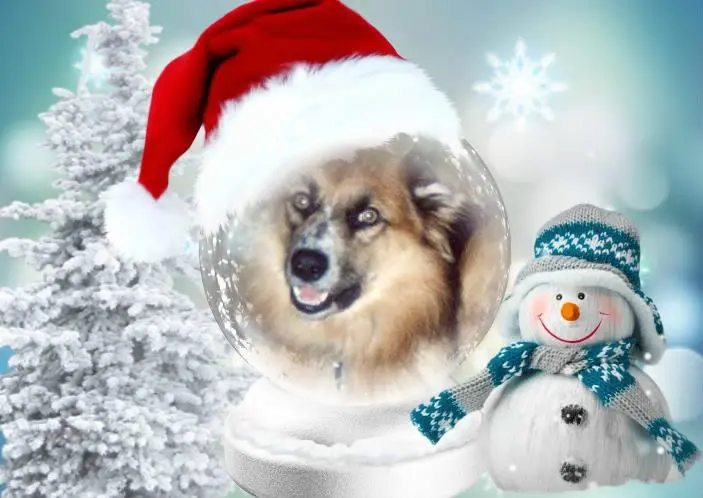 Condolence image of Nikolaus❤️fur Amorchen❤️⭐️und Merlinchen❤️⭐️