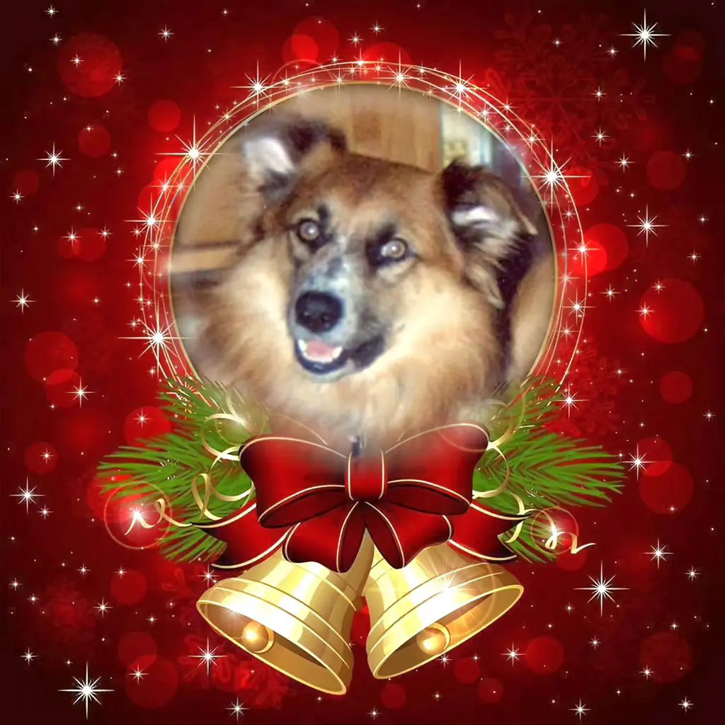 Condolence image of Frohe Weihnachten❤️⭐️❤️