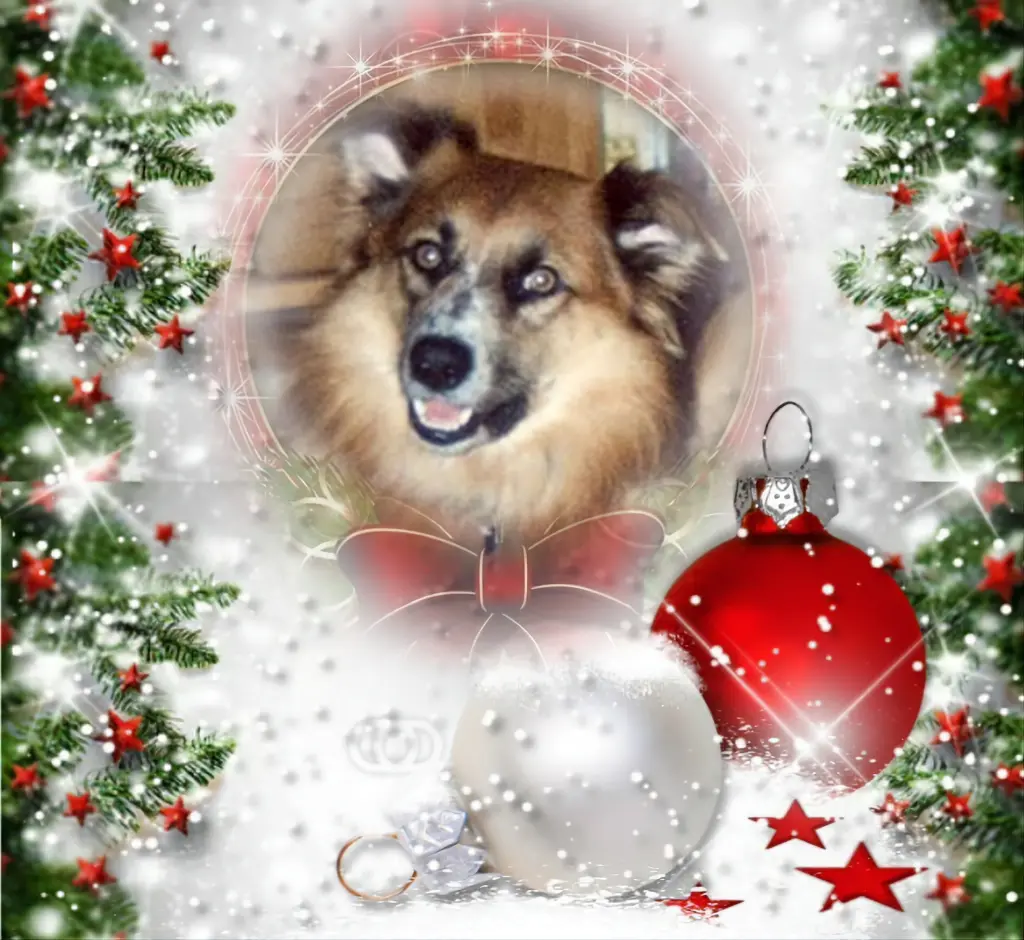 Condolence image of ❤️❤️❤️❤️❤️❤️❤️❤️❤️❤️❤️❤️