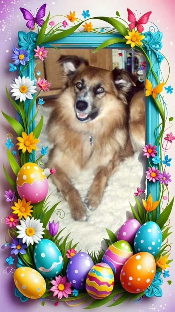 Condolence image of Ostermontag❤️