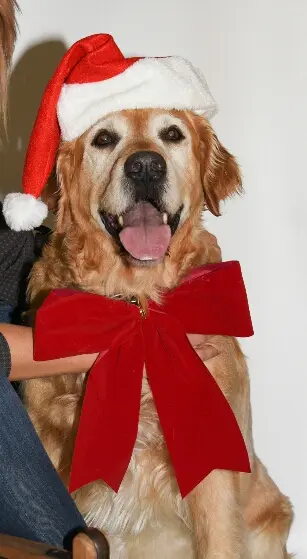 Andachtsbild von Micha mit Cäsar im Herzen