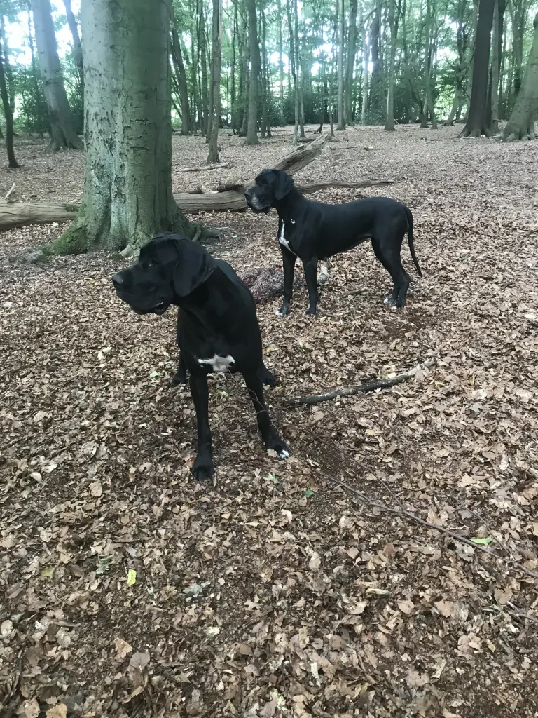 Condolence image of Robert 