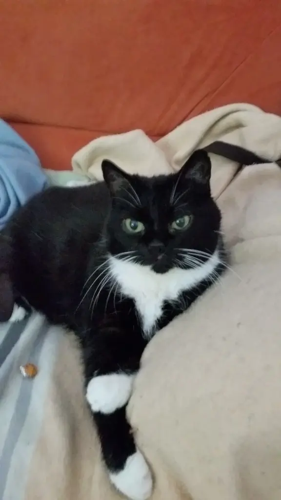 Condolence image of Jeanne - Marie