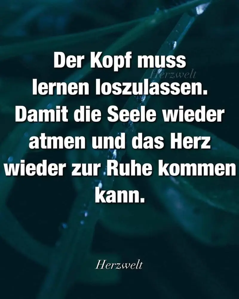 Condolence image of Elke Streich