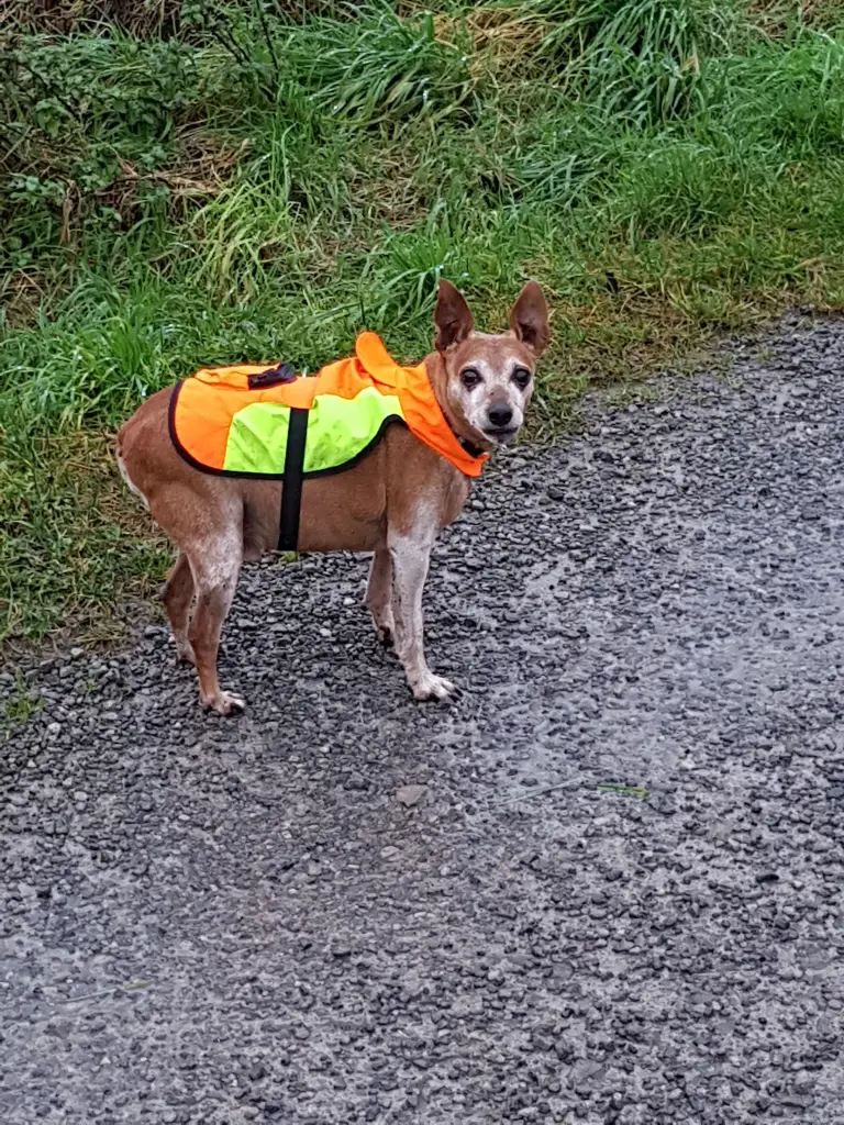 Condolence image of Antonia  Breeger 