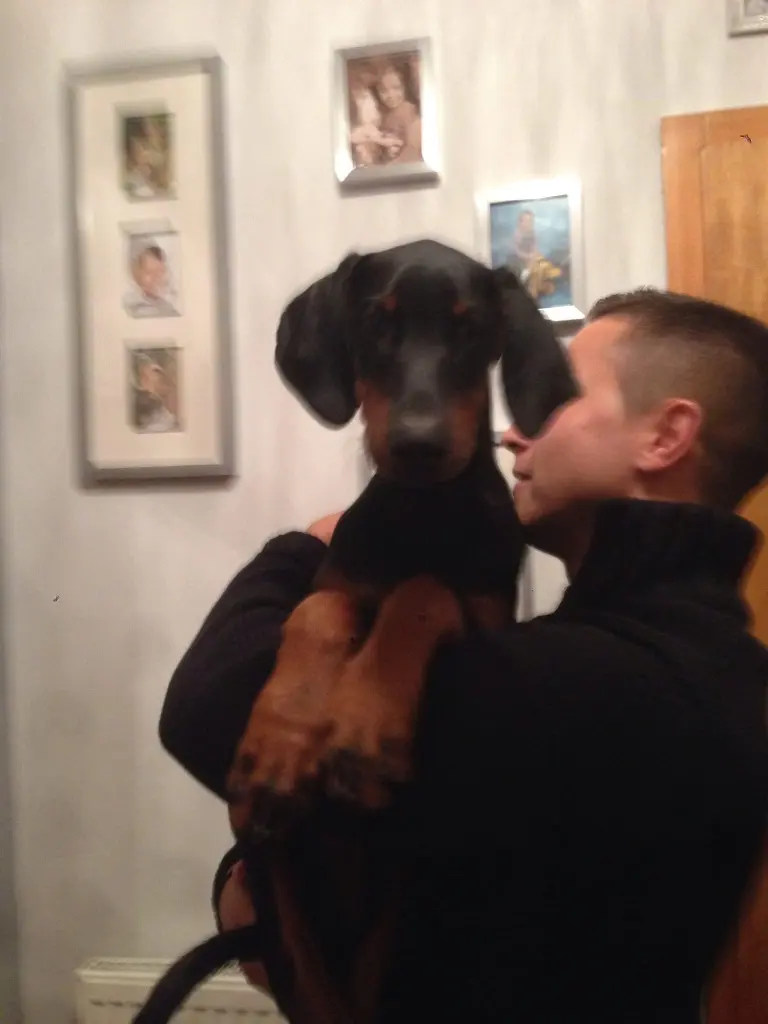 Bild von Rocky