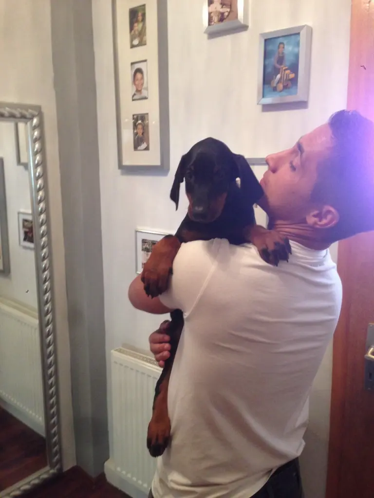 Bild von Rocky