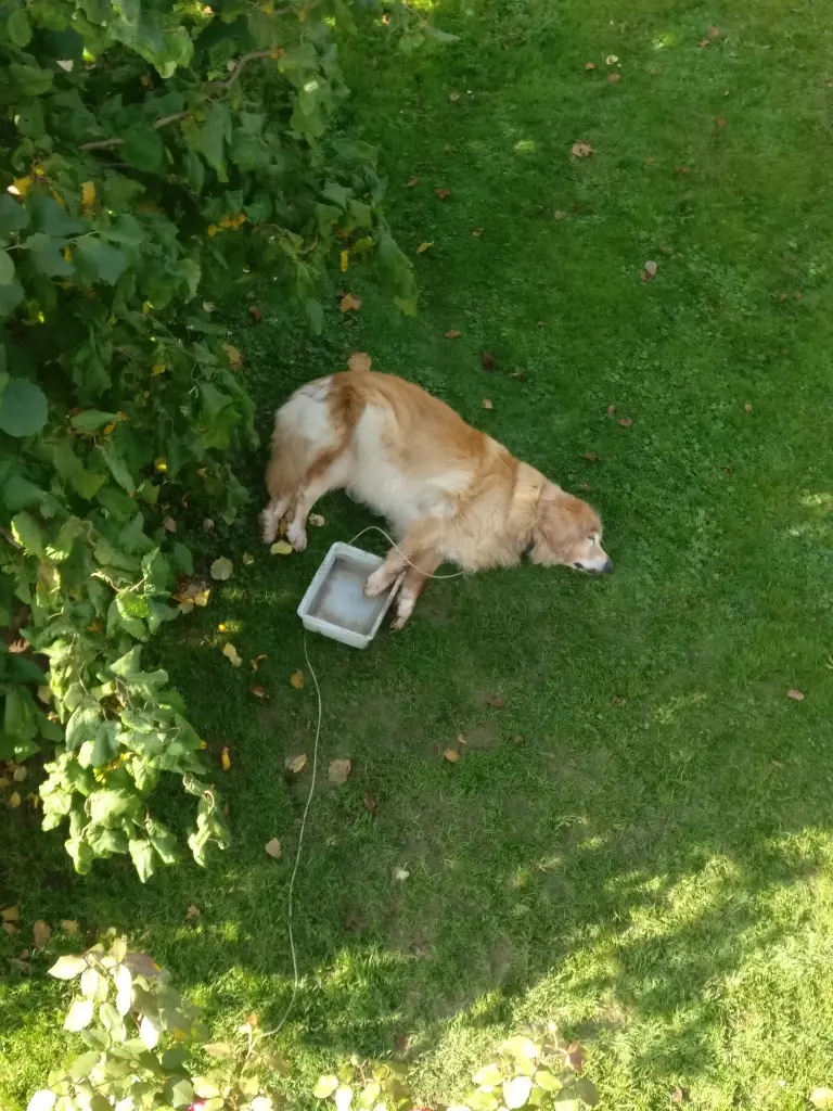 Condolence image of Michael mit ALESCA (+27.11.2017)