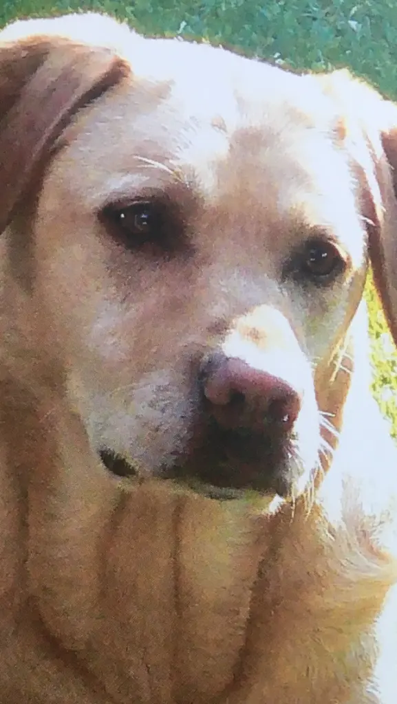 Condolence image of Patricia  Assali 