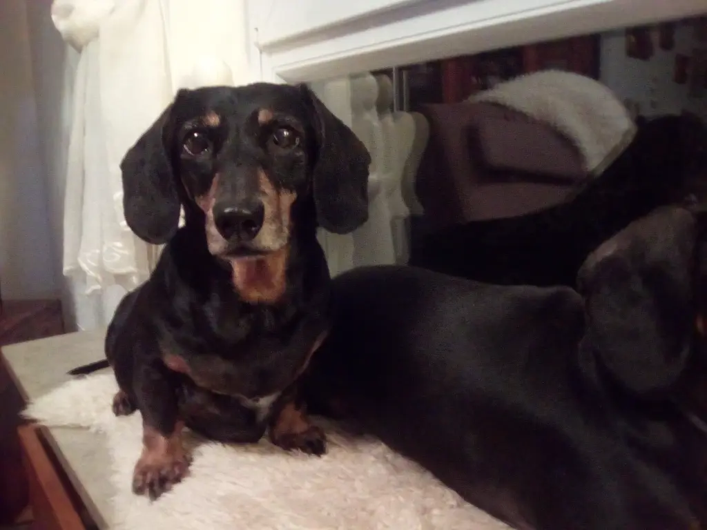 Condolence image of Mäggie