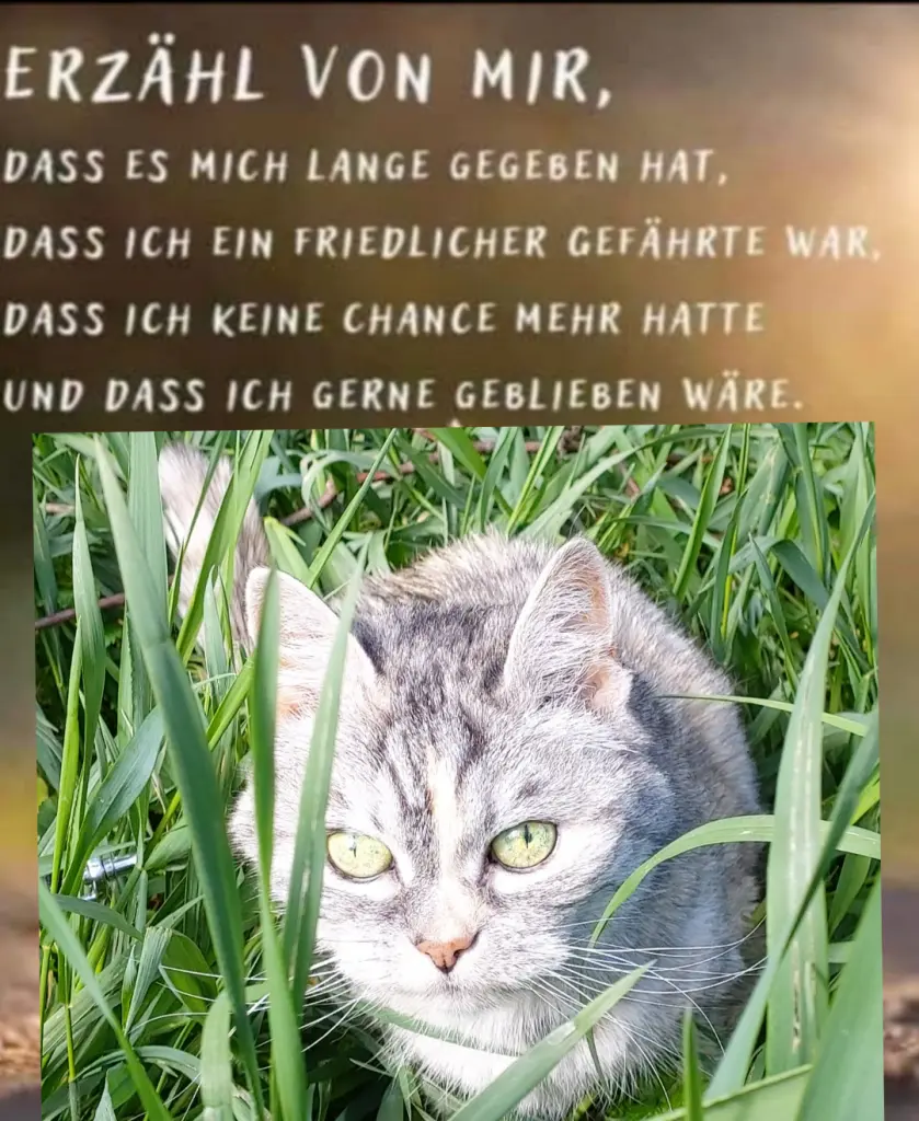 Andachtsbild von Silke mit Mia auf ewig