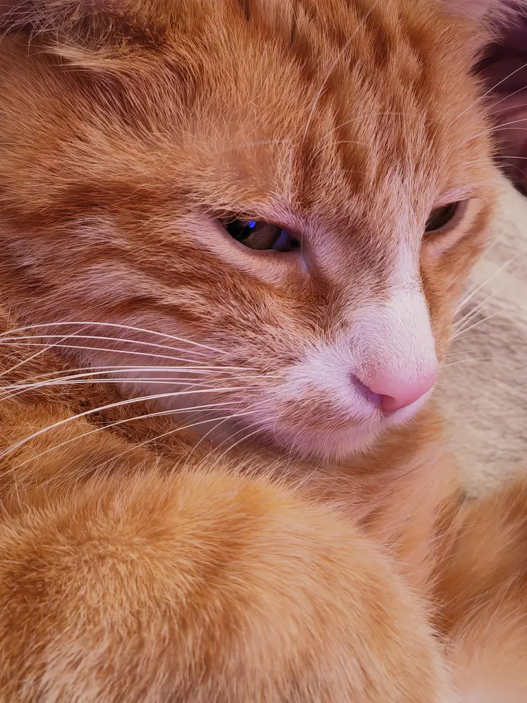 Bild von Jerry