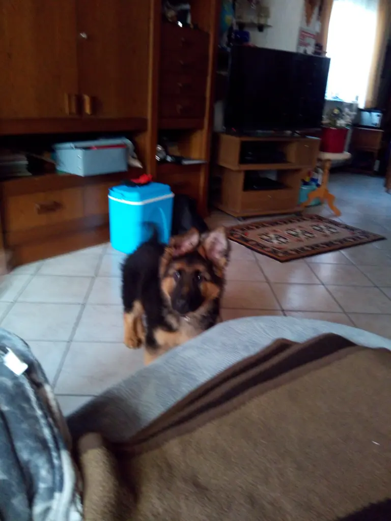 Image from Jago